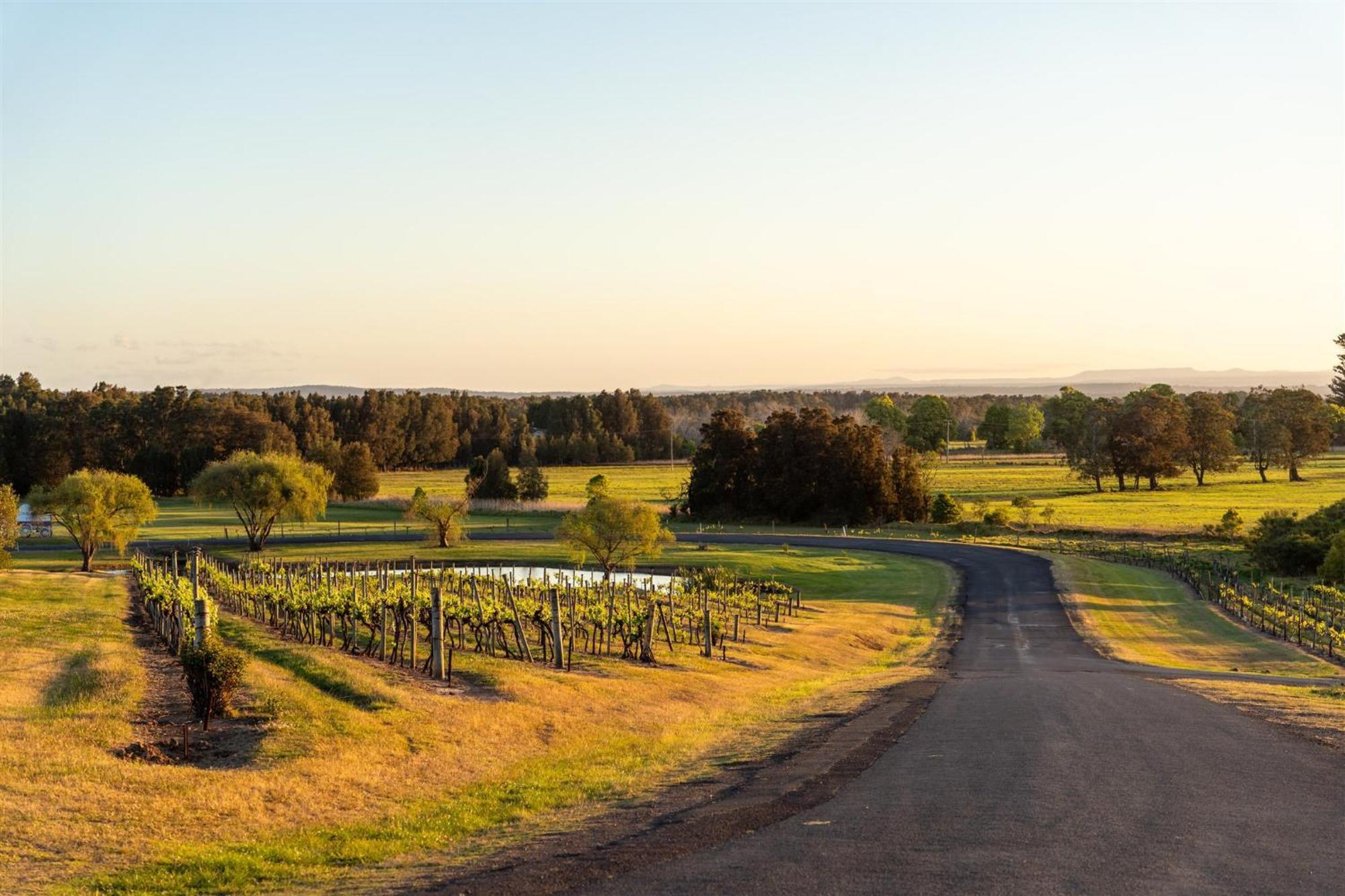 موتيل Coolangatta Estate Shoalhaven Heads المظهر الخارجي الصورة