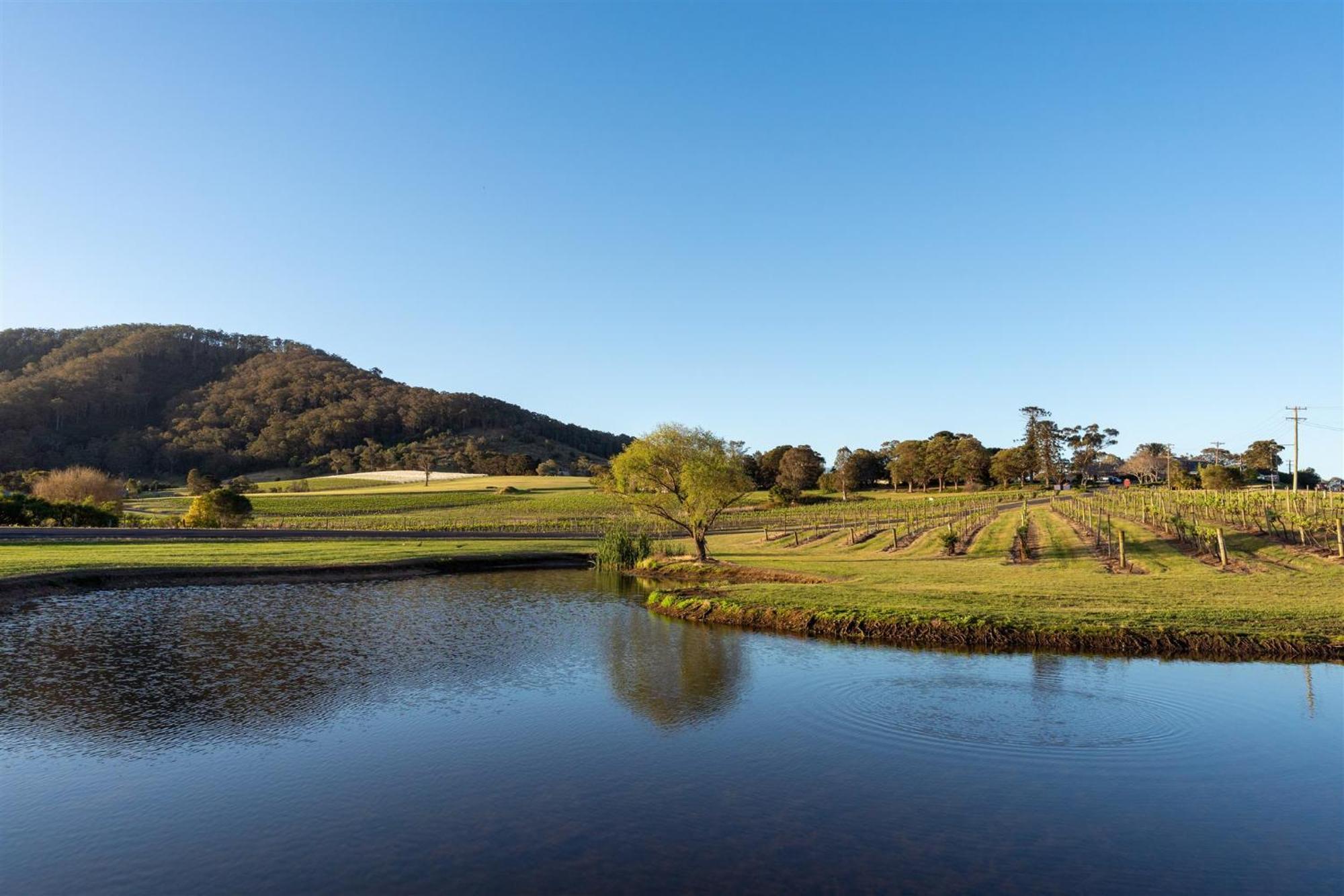 موتيل Coolangatta Estate Shoalhaven Heads المظهر الخارجي الصورة