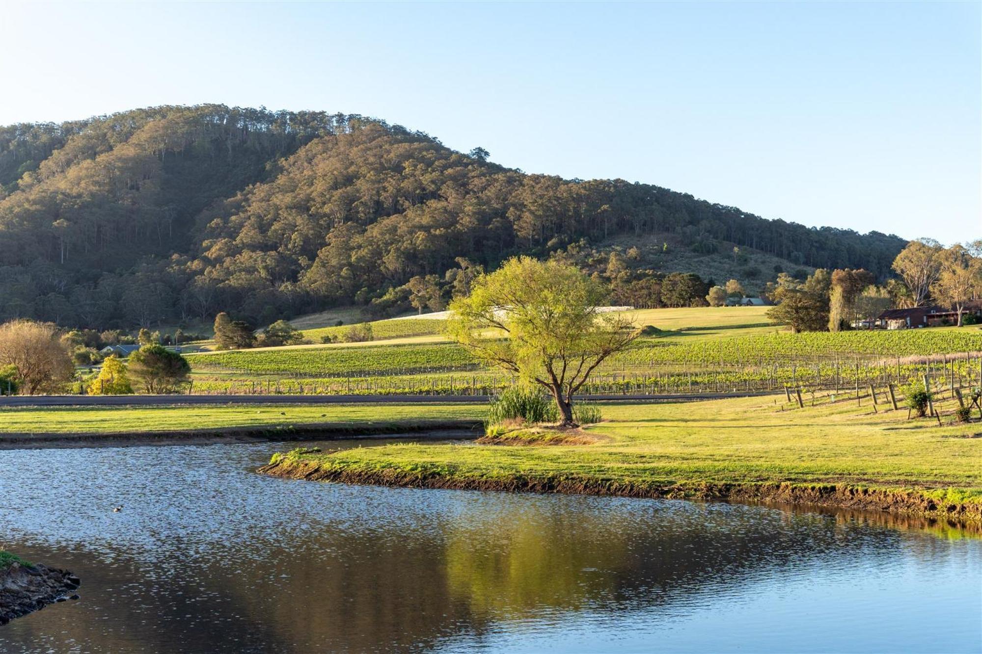 موتيل Coolangatta Estate Shoalhaven Heads المظهر الخارجي الصورة