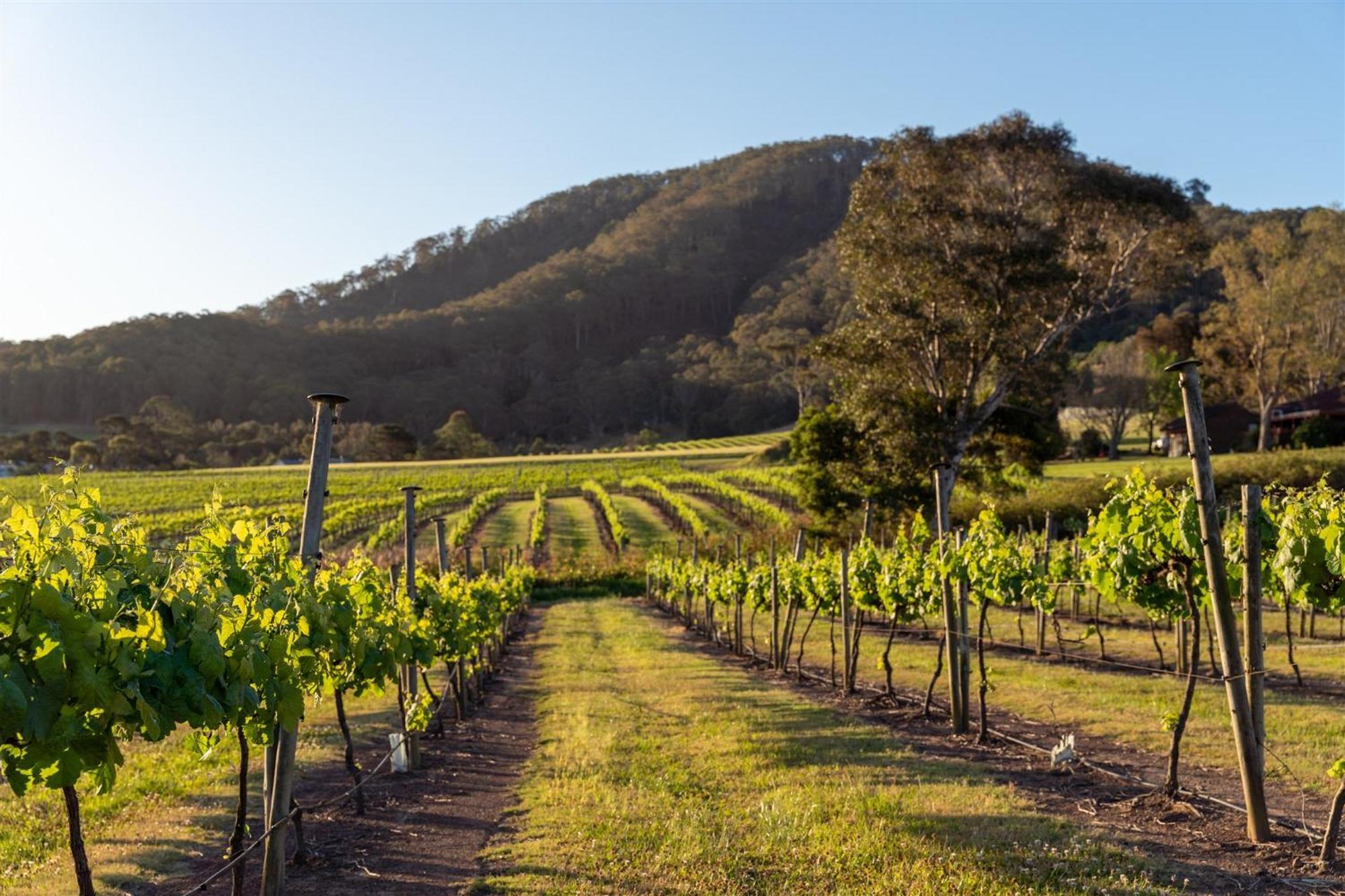 موتيل Coolangatta Estate Shoalhaven Heads المظهر الخارجي الصورة