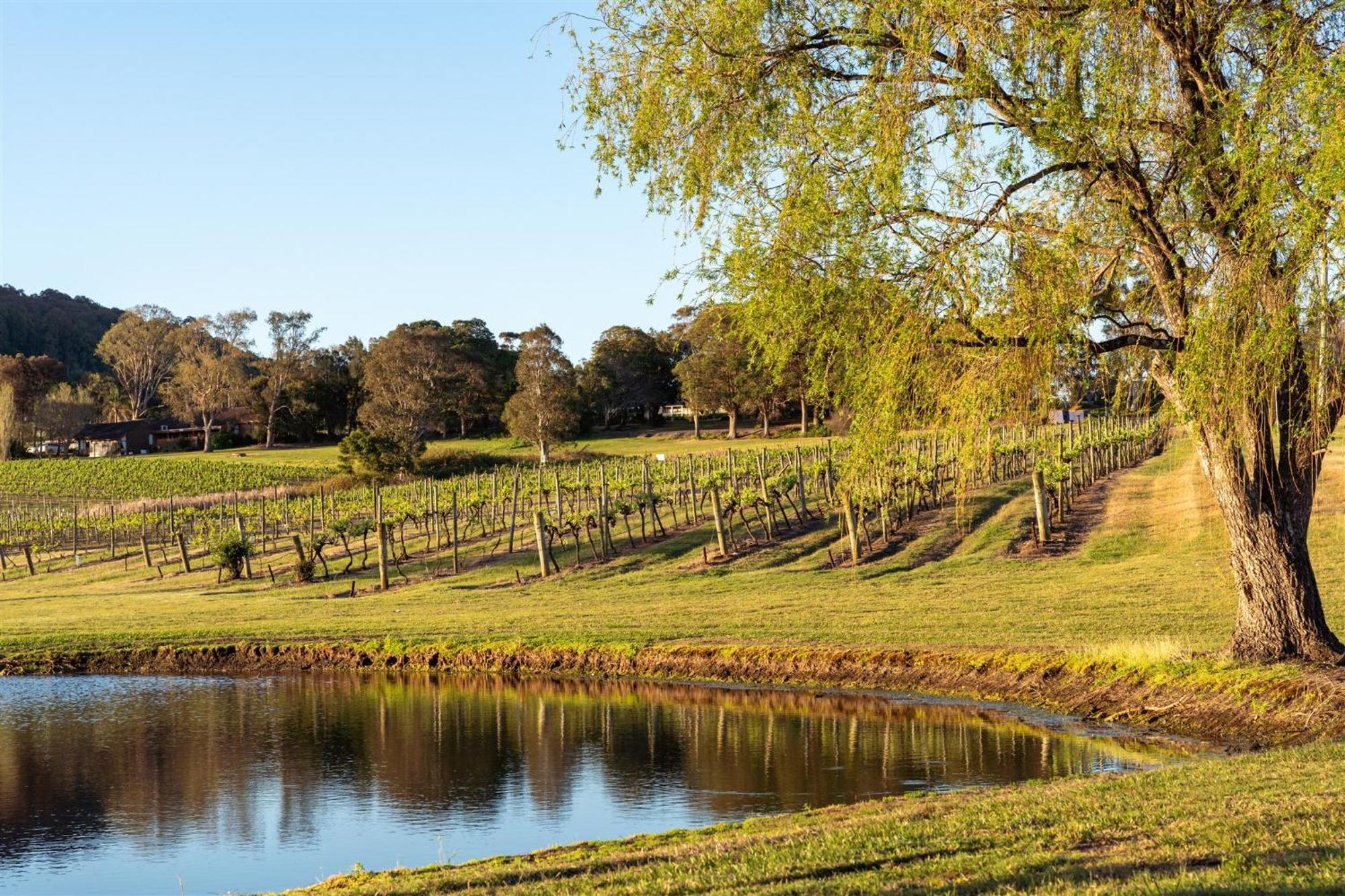 موتيل Coolangatta Estate Shoalhaven Heads المظهر الخارجي الصورة