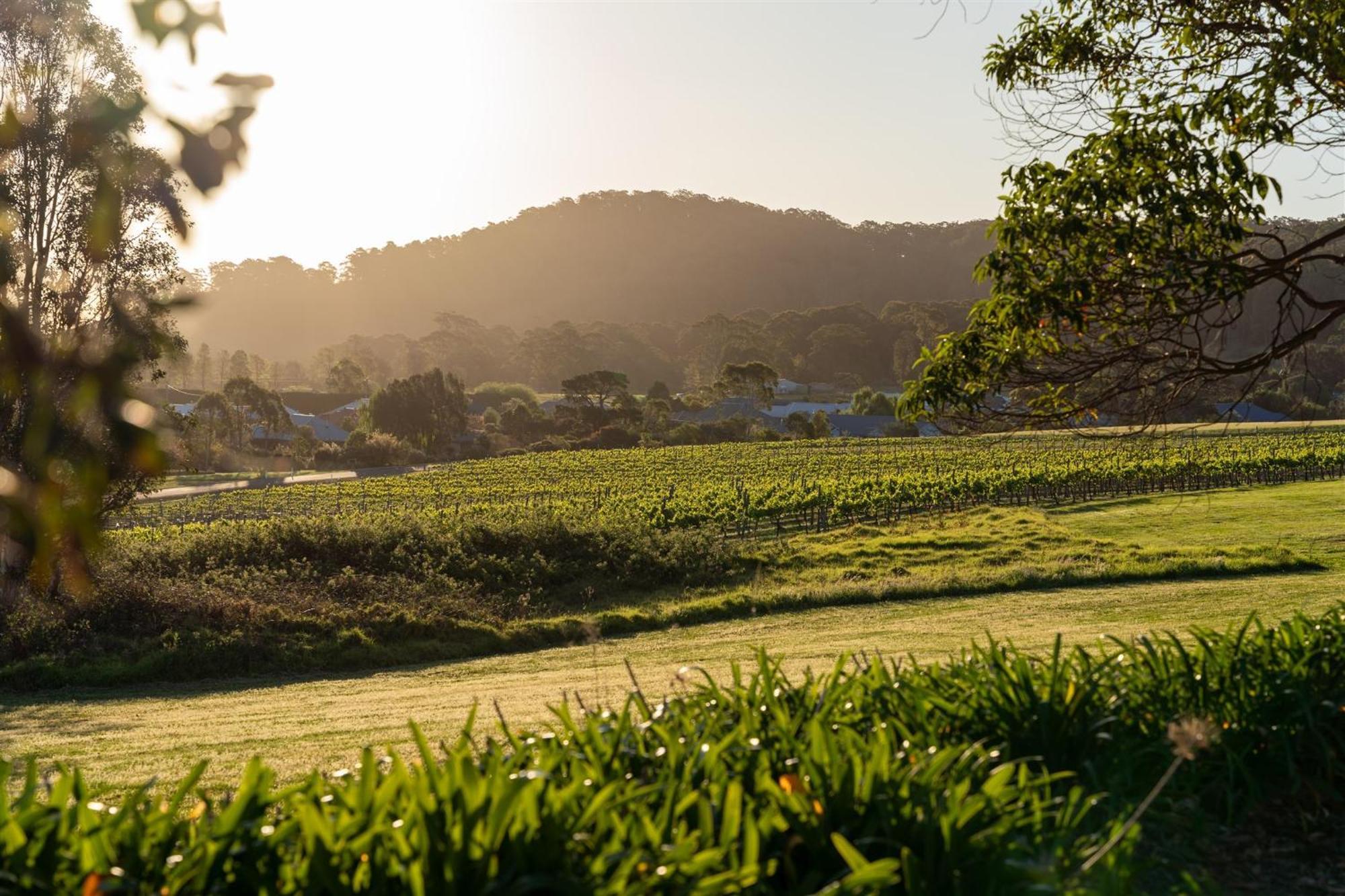 موتيل Coolangatta Estate Shoalhaven Heads المظهر الخارجي الصورة