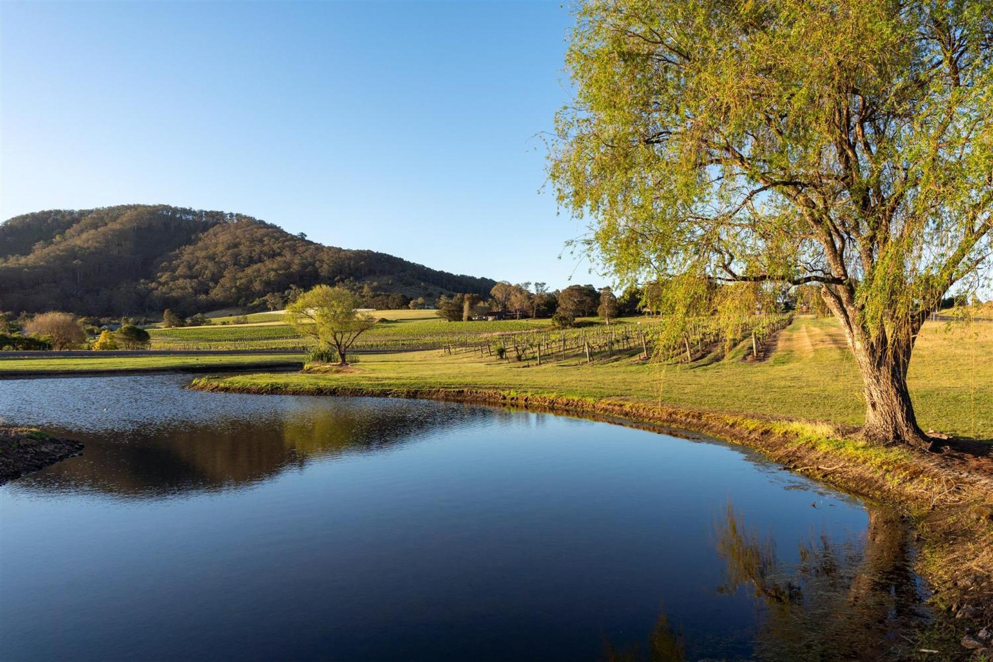 موتيل Coolangatta Estate Shoalhaven Heads المظهر الخارجي الصورة