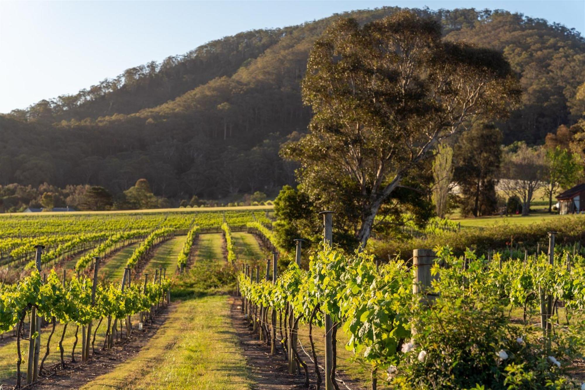موتيل Coolangatta Estate Shoalhaven Heads المظهر الخارجي الصورة